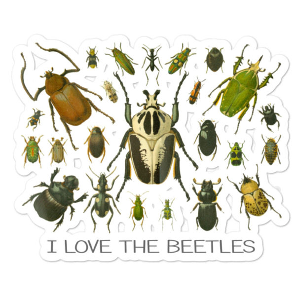 I Love the Beetles